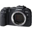 Canon EOS RP Mirrorless Digital Camera (Body Only) + Mount Adapter EF-EOS R Canon