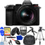 Panasonic Lumix S5 Mirrorless Camera with 20-60mm Lens - 12PC Accessory Bundle