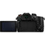 Panasonic Lumix GH5 II Mirrorless Camera with 12-60mm f/3.5-5.6 ASPH. Lens