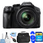 Panasonic Lumix DMC-FZ300 Digital Camera Essential 32GB Gadget Bag Bundle