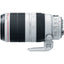 Canon EF 100-400mm f/4.5-5.6L IS II USM Lens + Macro/Close Up Lenses Bundle