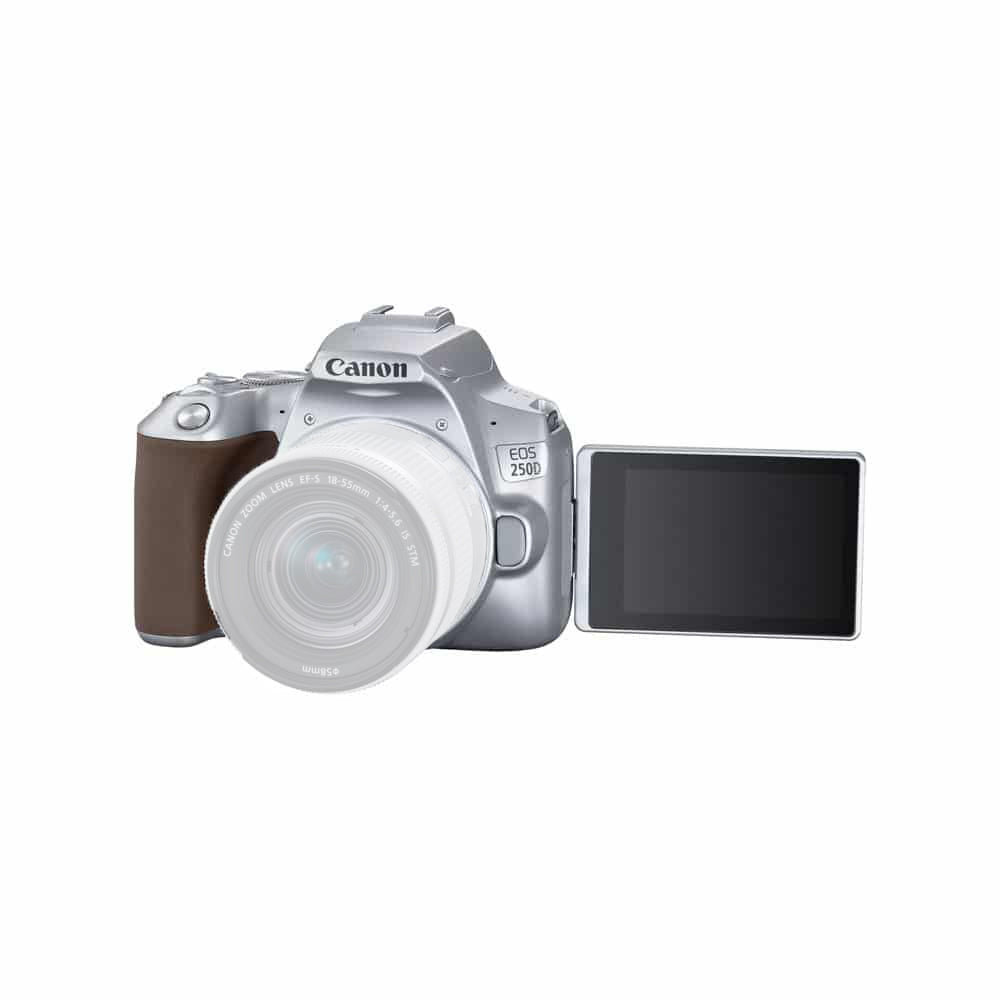 Canon EOS 250D/Rebel SL3 DSLR Camera (Silver, Body Only) - 12PC Accessory Bundle