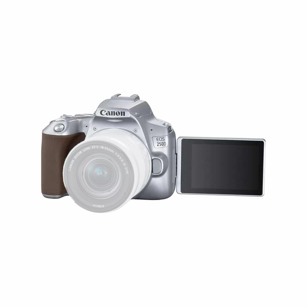 Canon EOS 250D/Rebel SL3 DSLR Camera (Silver, Body Only) - 30PC Accessory Bundle