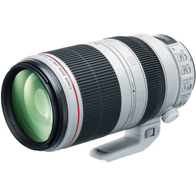Canon EF 100-400mm f/4.5-5.6L IS II USM Lens + Macro/Close Up Lenses Bundle