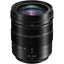 Panasonic Leica DG Vario-Elmarit 12-60mm f/2.8-4 ASPH. POWER O.I.S. Lens