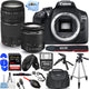 Canon EOS 3000D / T100 DSLR + 18-55mm III + 75-300mm Lens + 64GB + Flash Bundle Canon