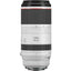 Canon RF 100-500mm f/4.5-7.1L IS USM Lens Bundle 1